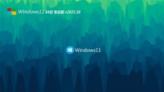 系统之家最新win11 64位王牌专注版v2021.10