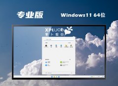 ܲ԰64λwin11콢v2023.09