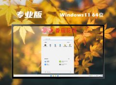 番茄花园win11 64位简体清爽版v2025.04免激活