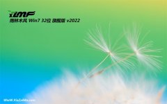 雨林木风32位win7极速多功能版v2022.06